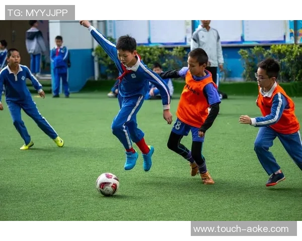 如图所示的足球设计理念与创新特点解析